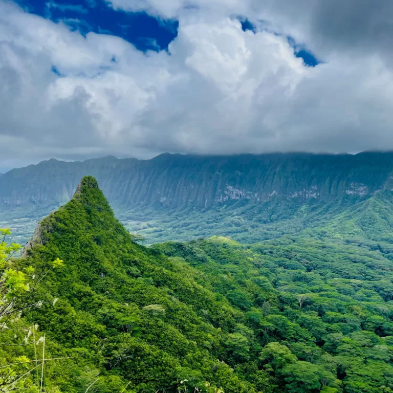 【ハワイ】登山好きが絶賛する隠れハイキングスポット : オロマナ スリーピークストレイル編