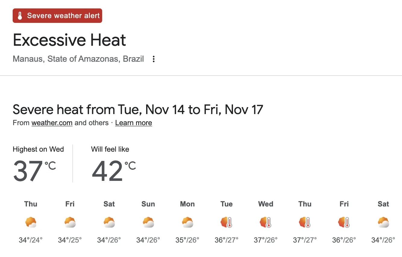マナウスの天気予報
