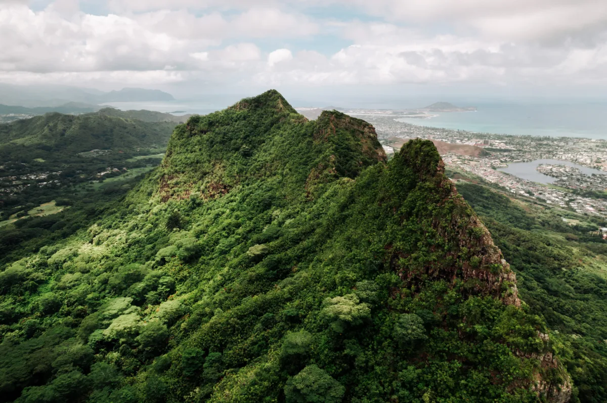 DJI_0356-Pano